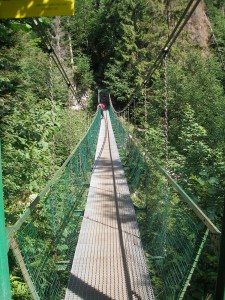 Obrázok